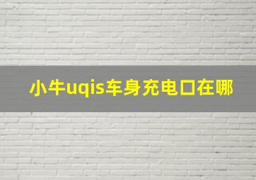 小牛uqis车身充电口在哪