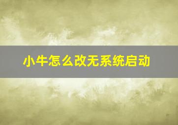 小牛怎么改无系统启动