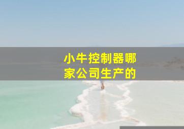 小牛控制器哪家公司生产的