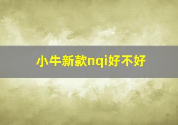 小牛新款nqi好不好