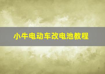 小牛电动车改电池教程