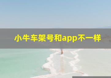 小牛车架号和app不一样