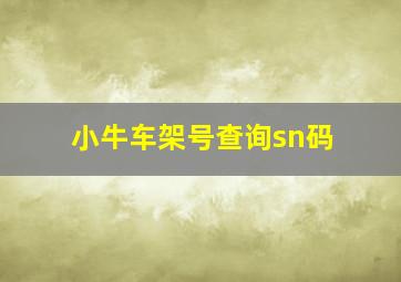 小牛车架号查询sn码