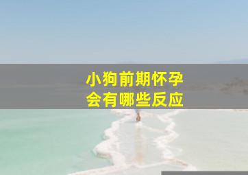 小狗前期怀孕会有哪些反应