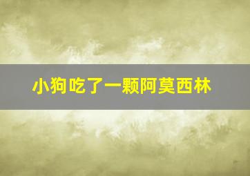 小狗吃了一颗阿莫西林