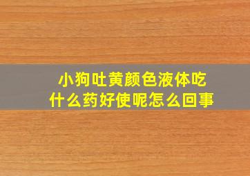 小狗吐黄颜色液体吃什么药好使呢怎么回事