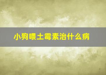 小狗喂土霉素治什么病