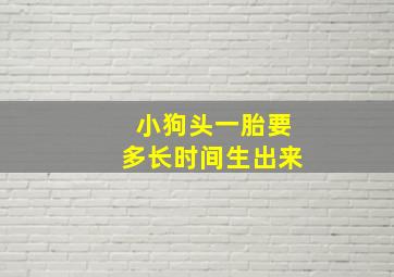 小狗头一胎要多长时间生出来