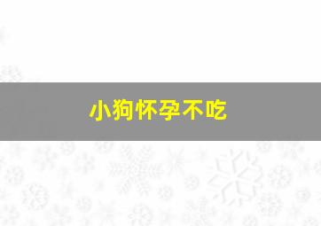 小狗怀孕不吃