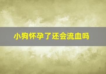 小狗怀孕了还会流血吗