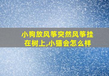 小狗放风筝突然风筝挂在树上,小猫会怎么样