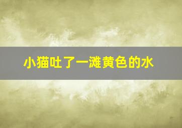 小猫吐了一滩黄色的水