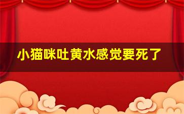 小猫咪吐黄水感觉要死了