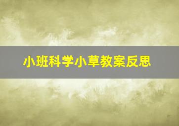 小班科学小草教案反思