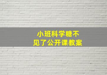 小班科学糖不见了公开课教案