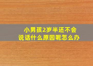 小男孩2岁半还不会说话什么原因呢怎么办