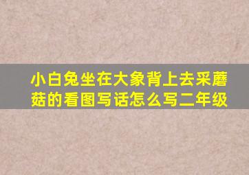 小白兔坐在大象背上去采蘑菇的看图写话怎么写二年级