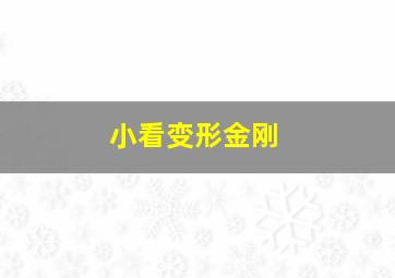 小看变形金刚