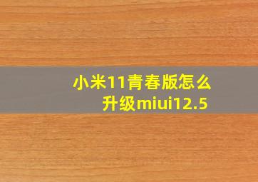 小米11青春版怎么升级miui12.5