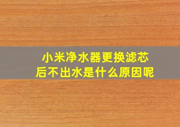 小米净水器更换滤芯后不出水是什么原因呢