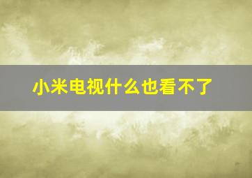 小米电视什么也看不了