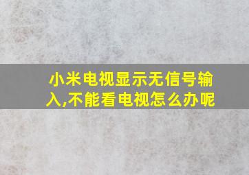 小米电视显示无信号输入,不能看电视怎么办呢