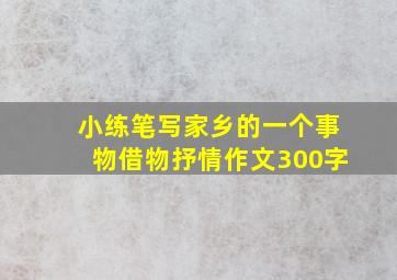 小练笔写家乡的一个事物借物抒情作文300字