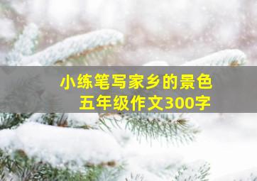 小练笔写家乡的景色五年级作文300字