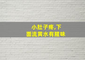 小肚子疼,下面流黄水有腥味