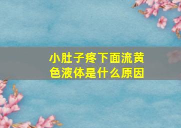 小肚子疼下面流黄色液体是什么原因