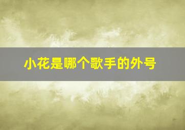 小花是哪个歌手的外号