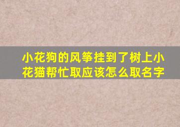 小花狗的风筝挂到了树上小花猫帮忙取应该怎么取名字