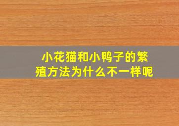 小花猫和小鸭子的繁殖方法为什么不一样呢