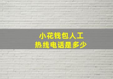 小花钱包人工热线电话是多少