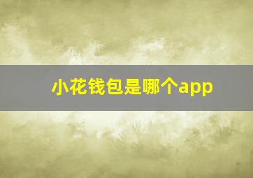 小花钱包是哪个app