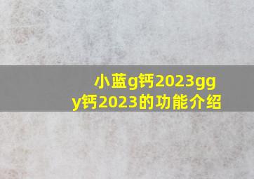 小蓝g钙2023ggy钙2023的功能介绍