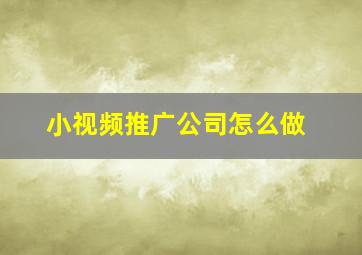 小视频推广公司怎么做