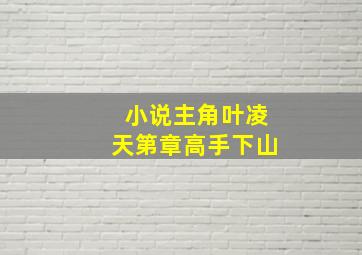 小说主角叶凌天第章高手下山