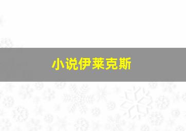 小说伊莱克斯