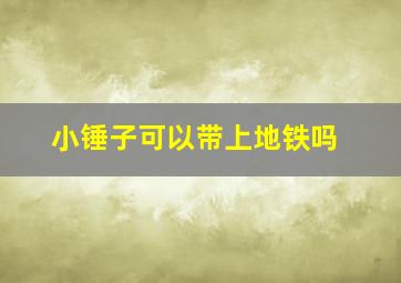 小锤子可以带上地铁吗