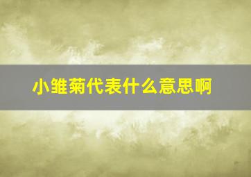 小雏菊代表什么意思啊