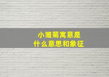 小雏菊寓意是什么意思和象征