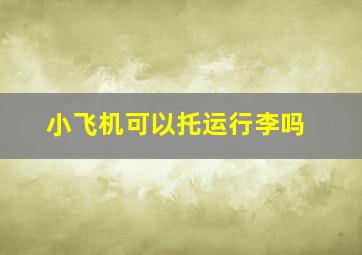 小飞机可以托运行李吗