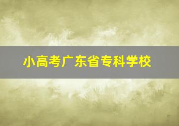 小高考广东省专科学校