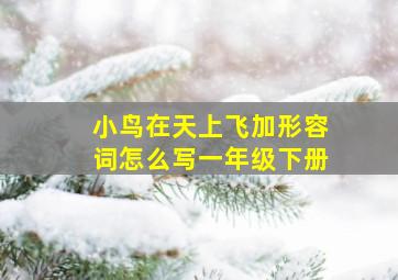 小鸟在天上飞加形容词怎么写一年级下册