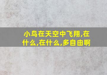 小鸟在天空中飞翔,在什么,在什么,多自由啊