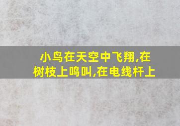 小鸟在天空中飞翔,在树枝上鸣叫,在电线杆上