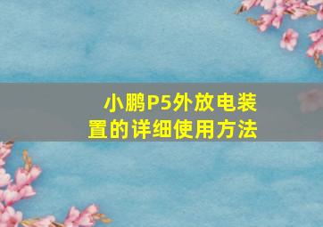 小鹏P5外放电装置的详细使用方法