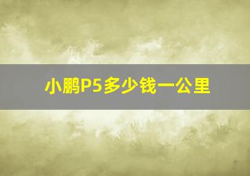 小鹏P5多少钱一公里