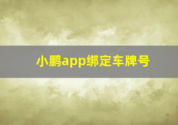 小鹏app绑定车牌号